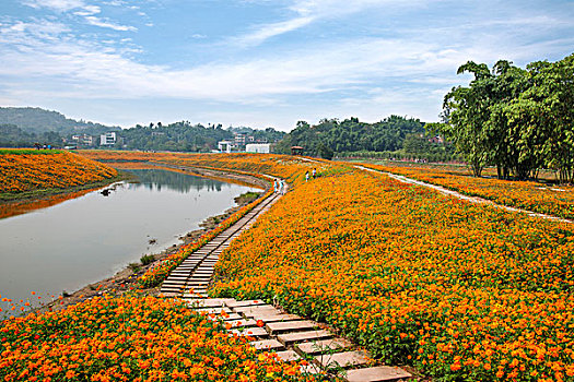 so xo miền bắc hôm nay
