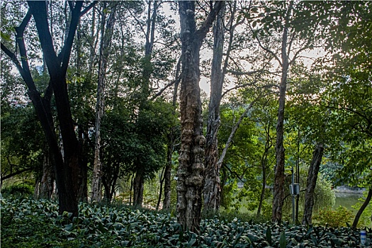 soi cầu lô đề 666