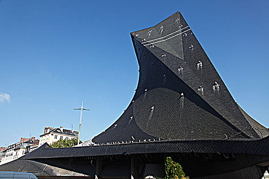 rong bach kim soi cau