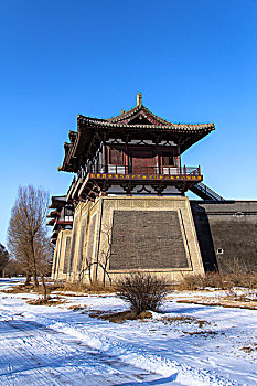 bạch thủ đề miền bắc
