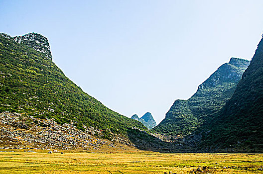 soi cau mien phi 88