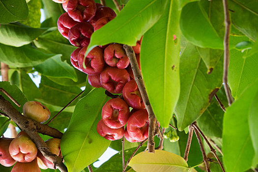 cách đánh đề miền bắc