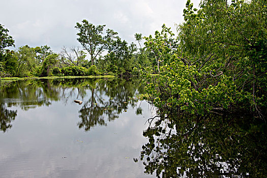 du doan xs quang binh
