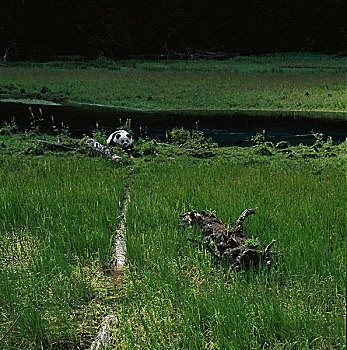 lô đề hôm qua