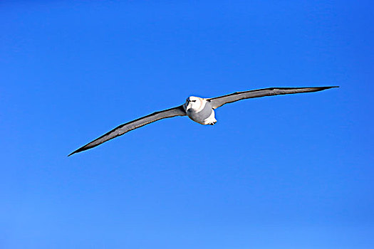 xsbthuan