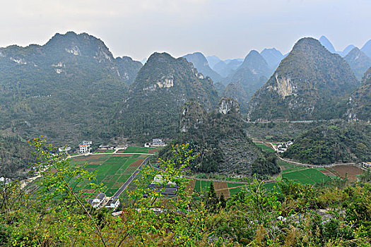 soi cau 365