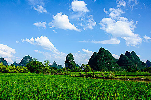 dự đoán kết quả xổ số miền