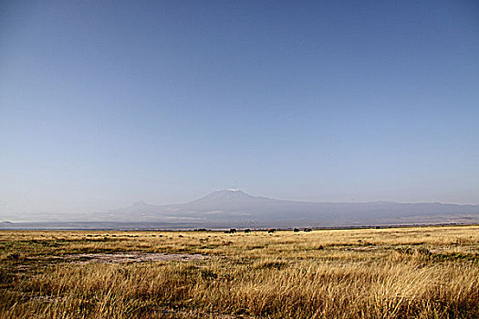 soicau thantai365
