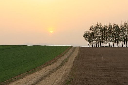 dự đoán bạch thủ đề hôm nay