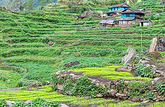 dàn đề miễn phí