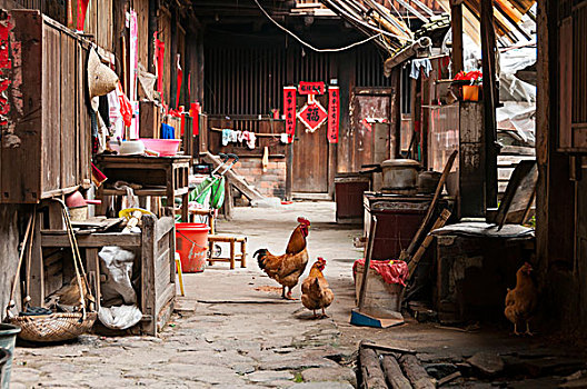 kqxs miền bắc hôm nay