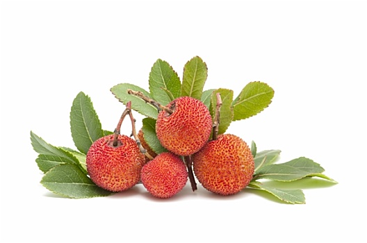 xổ số miền nam ngày thứ bảy
