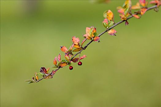 xổ số thứ sáu tuần rồi