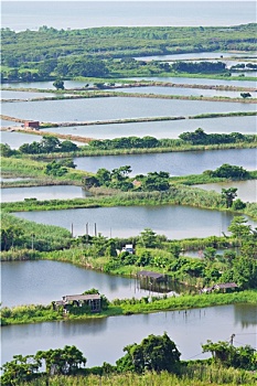 xs mien bac minh ngoc