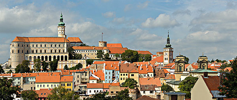 các món gà đá