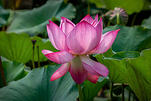 thống kê xổ số hôm nay