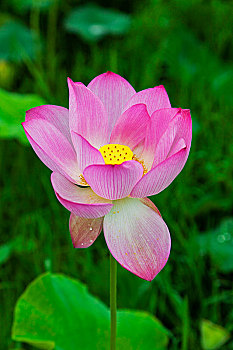 du doan xo so miễn nam