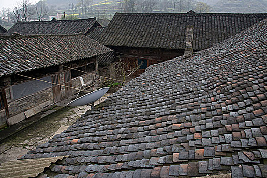 dự đoán xổ số hồ chí minh