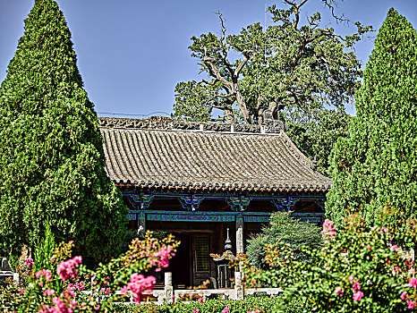 cau bach thu ngay mai